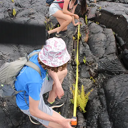 Collecting information about lava flows using the molds in the lava left by the fallen trees