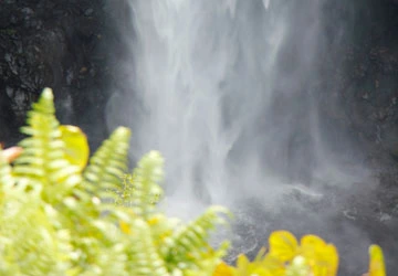 Hawaii waterfall