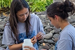 Conducting water quality testing