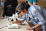 Studying microscopic biology